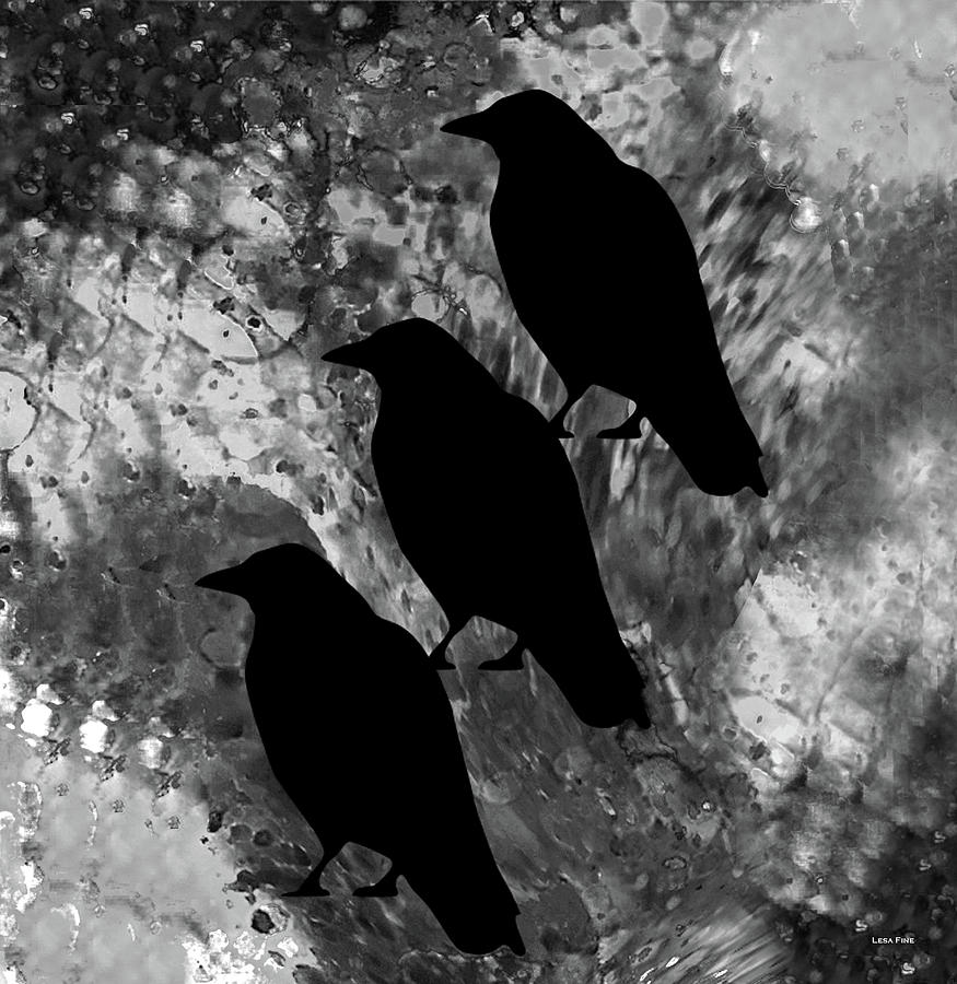 Family Crow Black and White Mixed Media by Lesa Fine