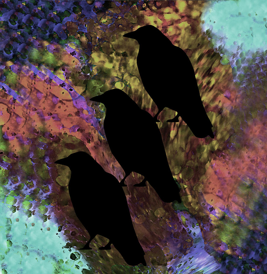 Crow Digital Art - Family Crow Black Soft by Lesa Fine