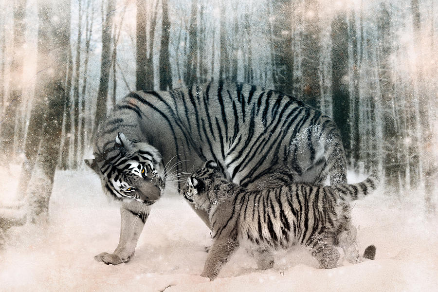 Tiger Digital Art - Family Footsteps by Julie L Hoddinott