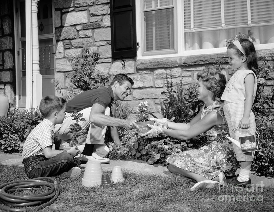 Family Gardening, C.1960s Photograph by H. Armstrong Roberts/ClassicStock