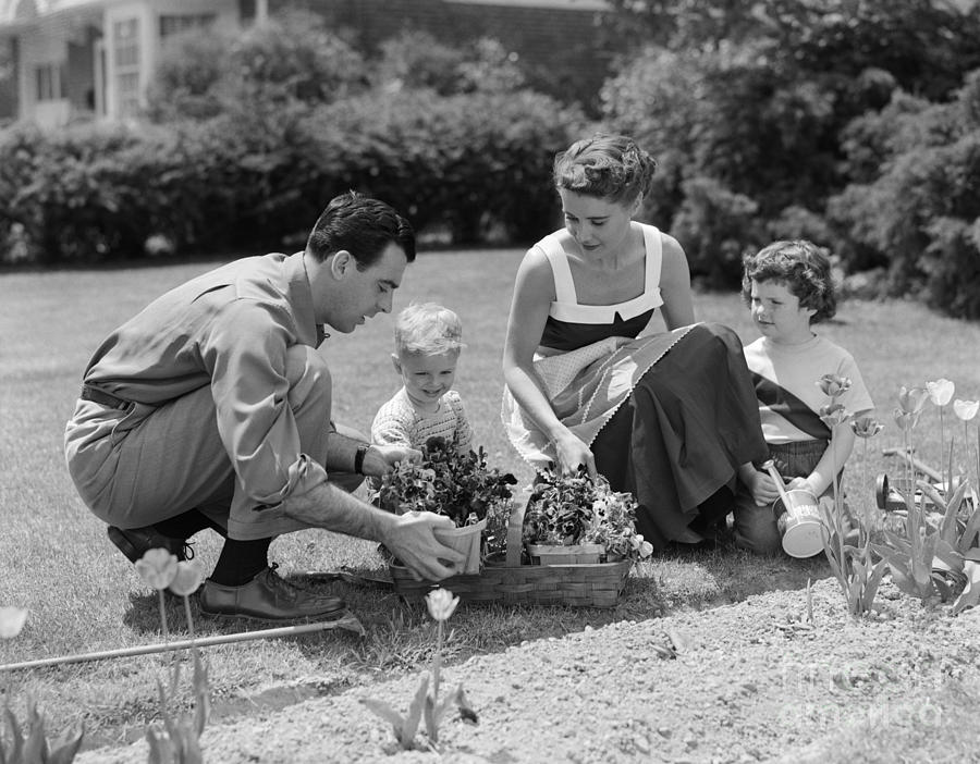 Family In Garden Planting Flowers Photograph by H. Armstrong Roberts/ClassicStock