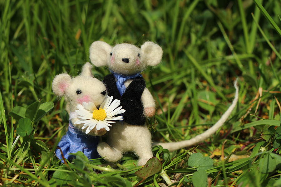 Fantasy Photograph - Family mouse on the spring meadow .1. by Heike Hultsch