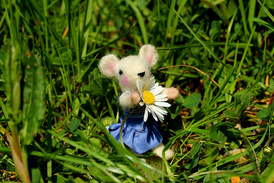 Fantasy Photograph - Family mouse on the spring meadow by Heike Hultsch
