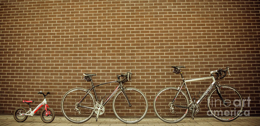 Family Of Bikes 3 Photograph