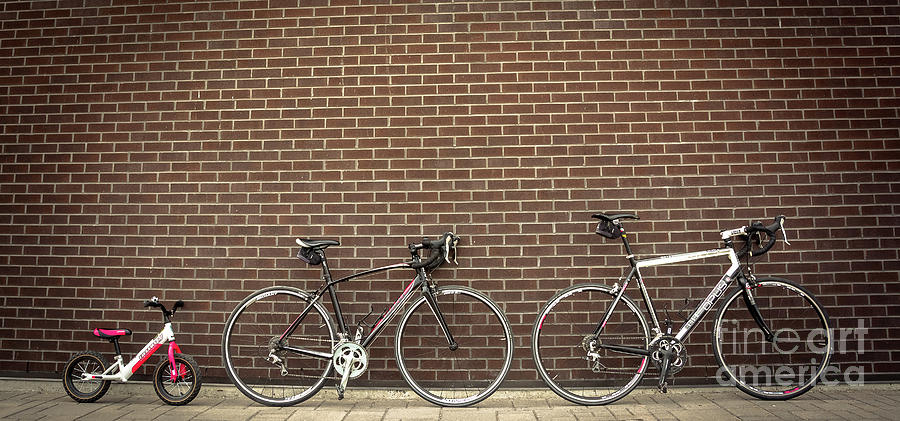Family Of Bikes 4 Photograph