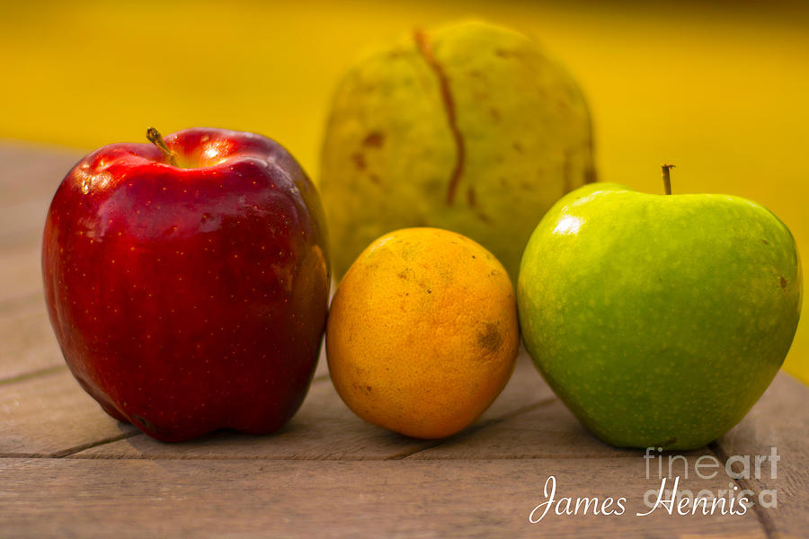 Family of Fruit Photograph by Metaphor Photo