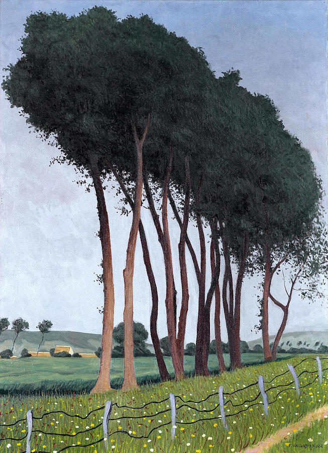 Family of Trees Painting by Felix Vallotton