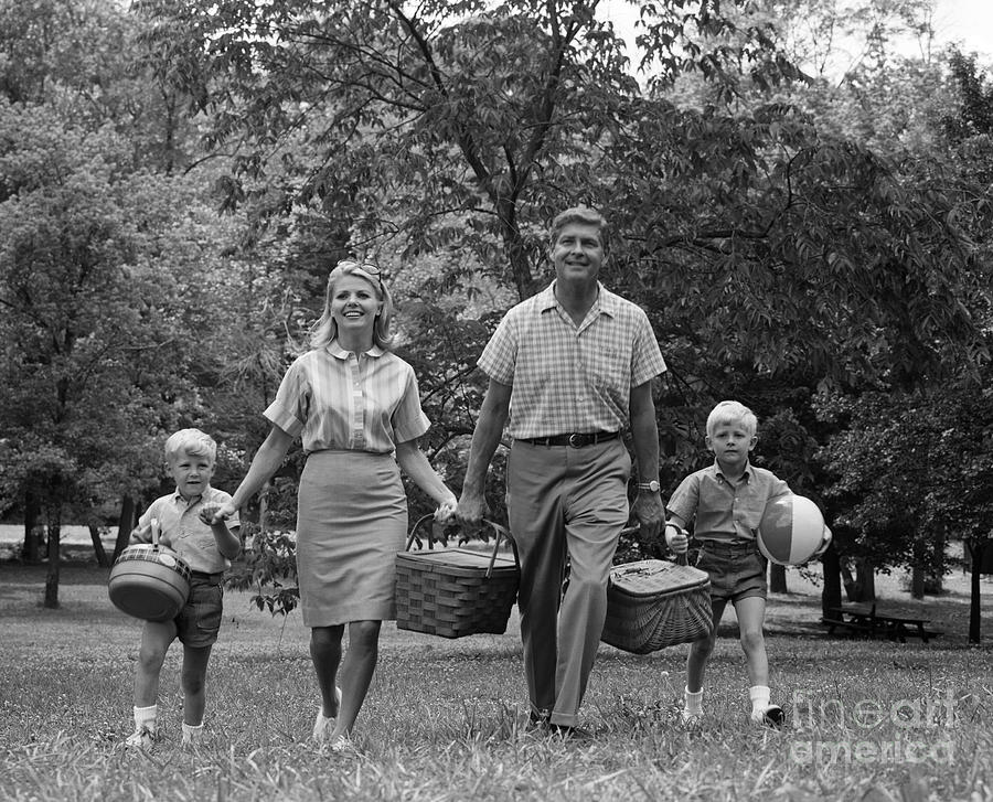 Family Picnic, C.1960s Photograph by H. Armstrong Roberts/ClassicStock