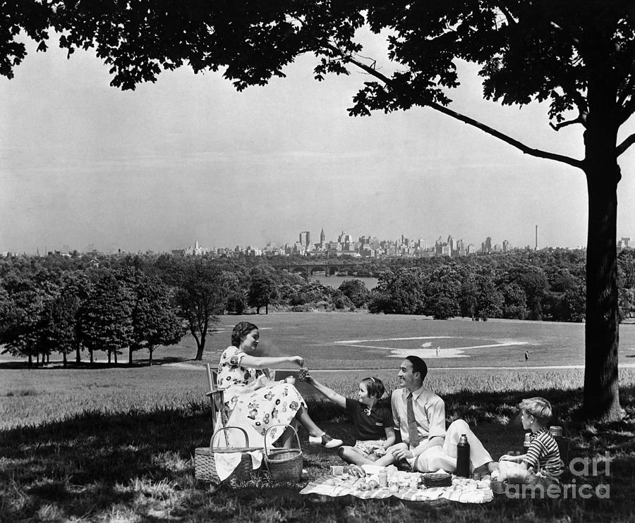 Family Picnicking Under A Tree Photograph by H. Armstrong Roberts/ClassicStock