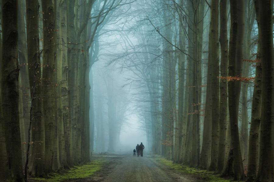 Winter Photograph - Family Walk by Martin Podt