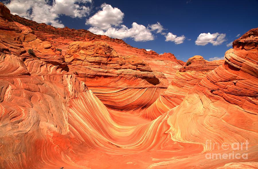 The Wave Photograph - Famous Arizona Landscape by Adam Jewell