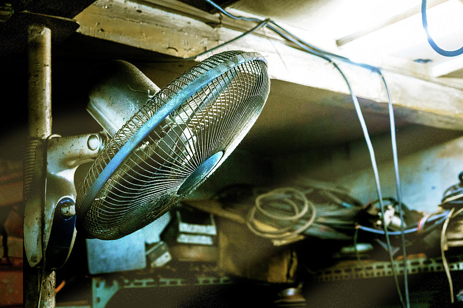 Fan by Max Neivandt Fan by Max Neivandt