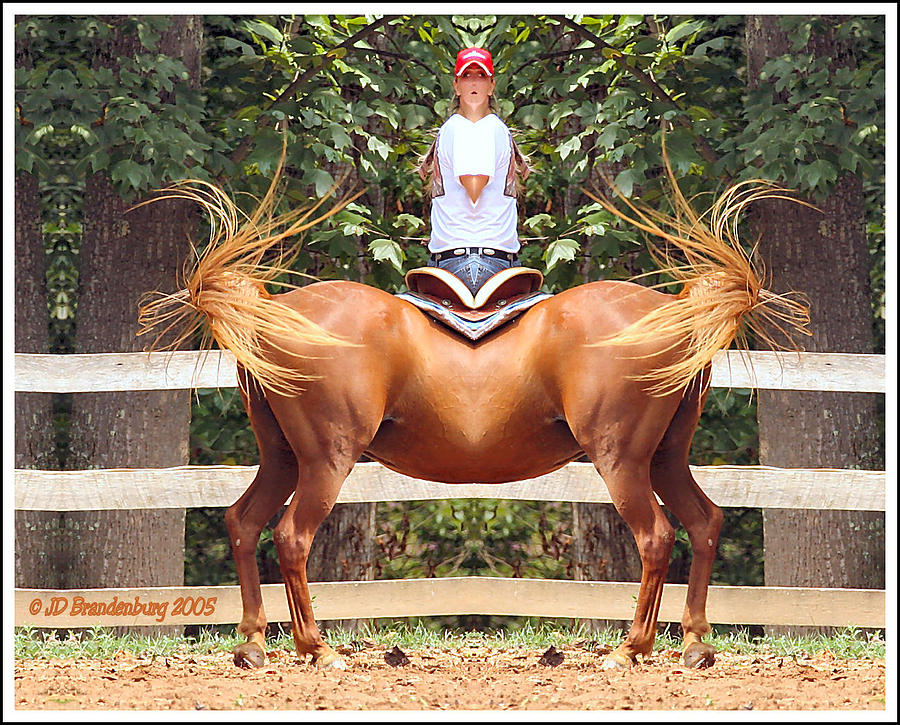 Horse Photograph - Fan Tail by JD Brandenburg
