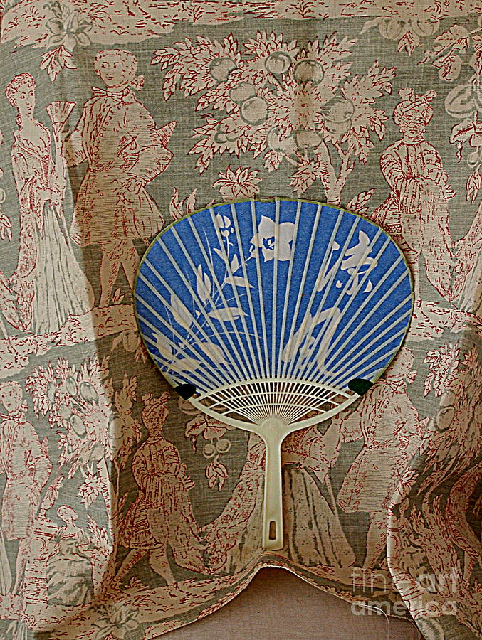 Fan Tapestry Photograph by Nancy Kane Chapman