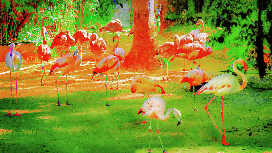 Fanciful Flamingo Image Digital Art by Joseph Hollingsworth