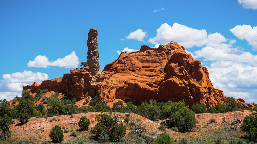 Fanciful Rock Formation Kodachrome State Park Utah Photograph by Lawrence S Richardson Jr