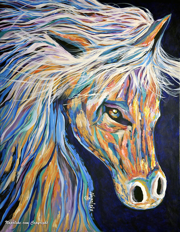 Fancy Dancer by Barney Napolske Fancy Dancer by Barney Napolske