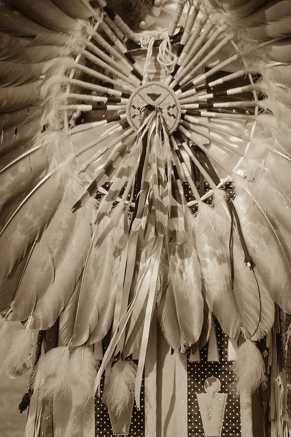 Feather Photograph - Fancy Dancer Male Sepia by Hermes Fine Art