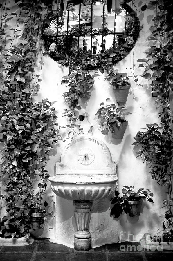 Fancy Fountain in Malaga Photograph by John Rizzuto