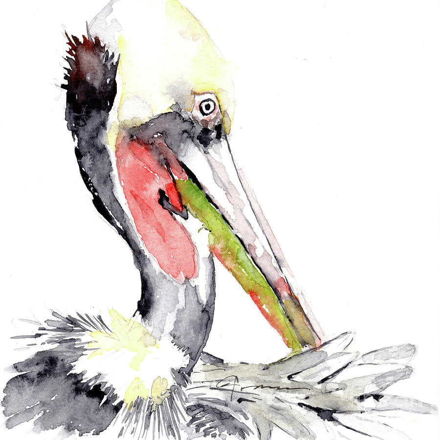 Fancy Pelican Painting by Claudia Hafner