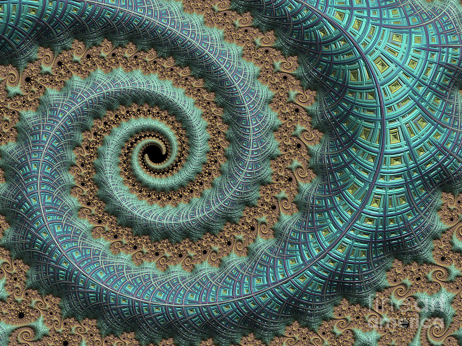 Fancy Spiral Teal Digital Art by Elisabeth Lucas | Fine Art America