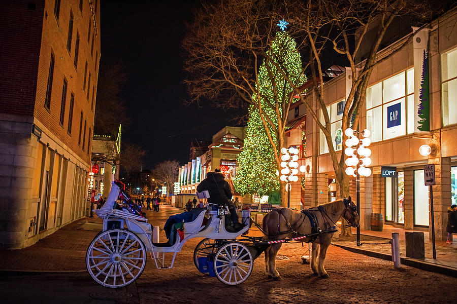 Faneuil Hall Horse and Carriage at Christmas Boston MA Photograph by Toby McGuire