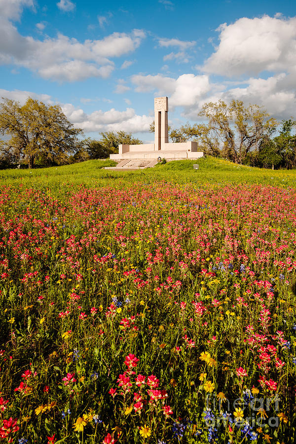 Fannin Monument and Memorial with Wildflowers in Goliad - Coastal Bend South Texas Photograph by Silvio Ligutti