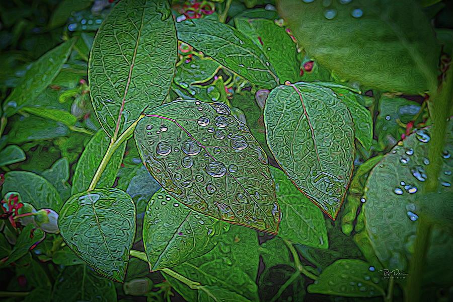 Fanstasy Leaves Photograph by Bill Posner