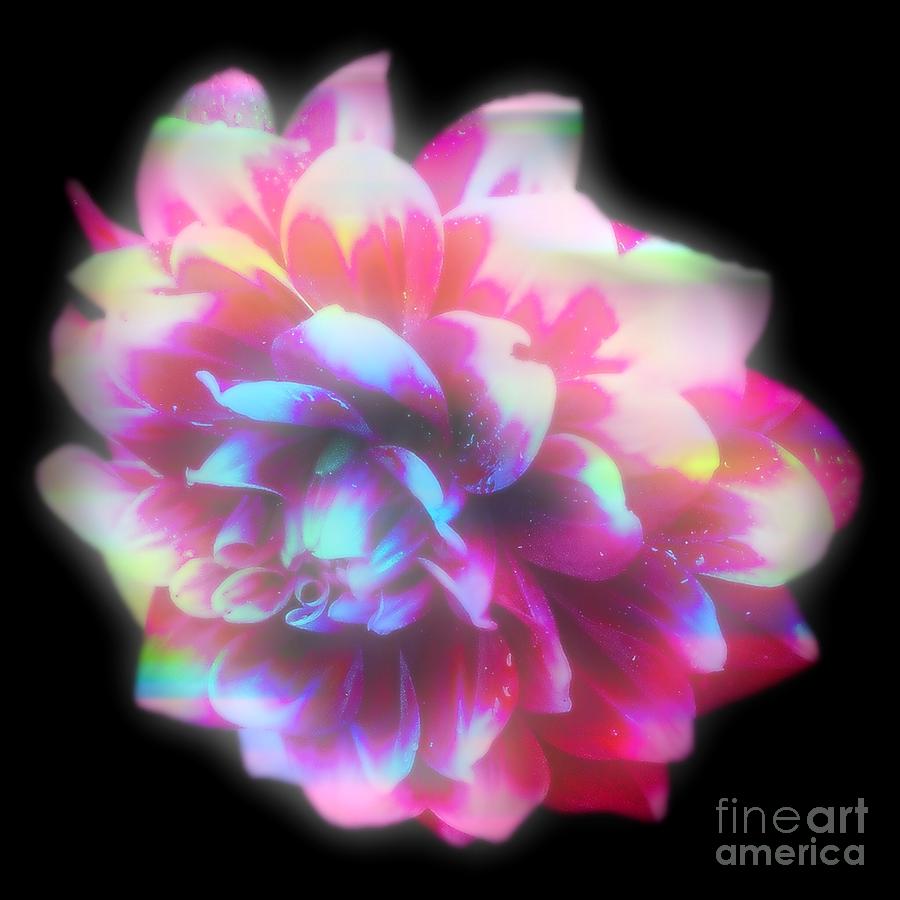Nature Digital Art - Fantastic Flower by Gayle Price Thomas