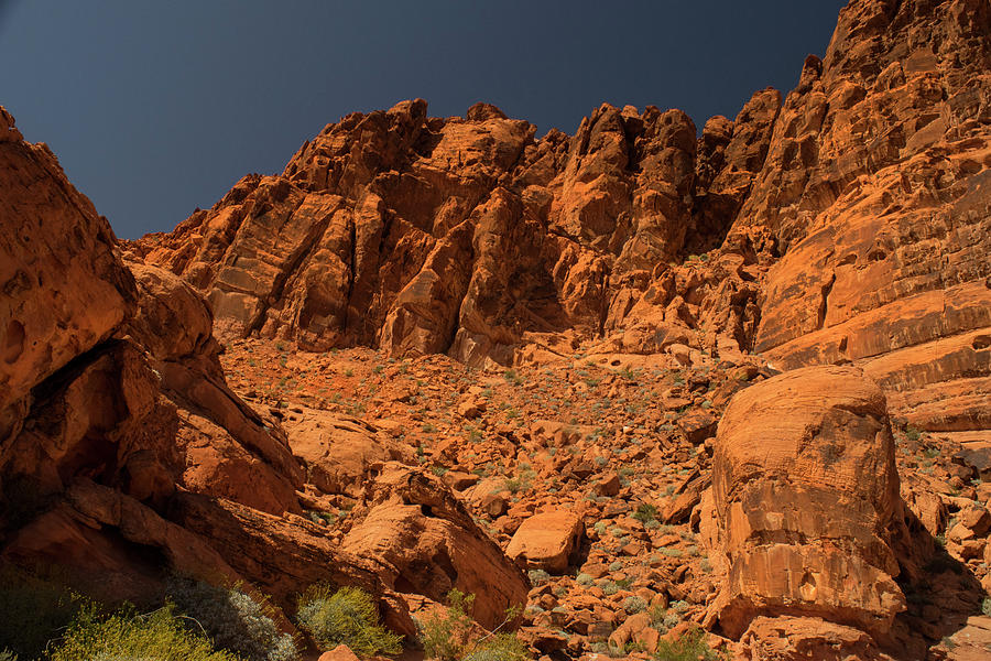 Fantastic Landscape Valley Of Fire Photograph by Frank Wilson
