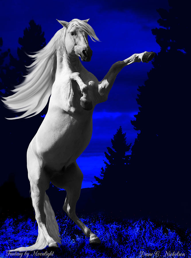 Horse Photograph - Fantasy by Moonlight by Diane C Nicholson