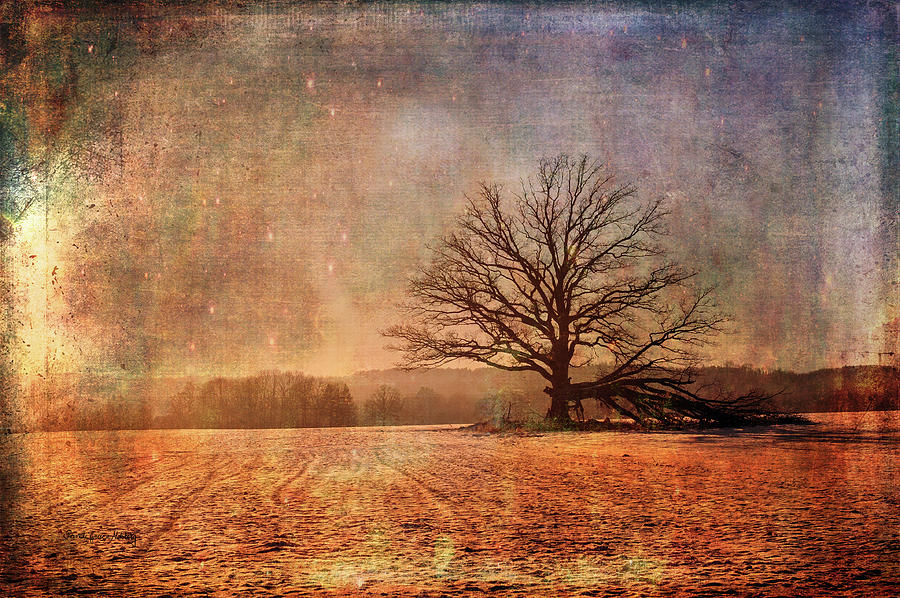 Winter Photograph - Fantasy Field by Randi Grace Nilsberg