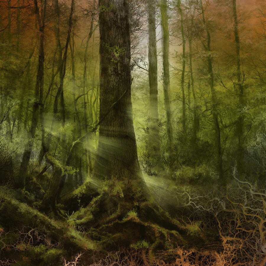 Tree Digital Art - Fantasy Forest 2 3 by Bekim M