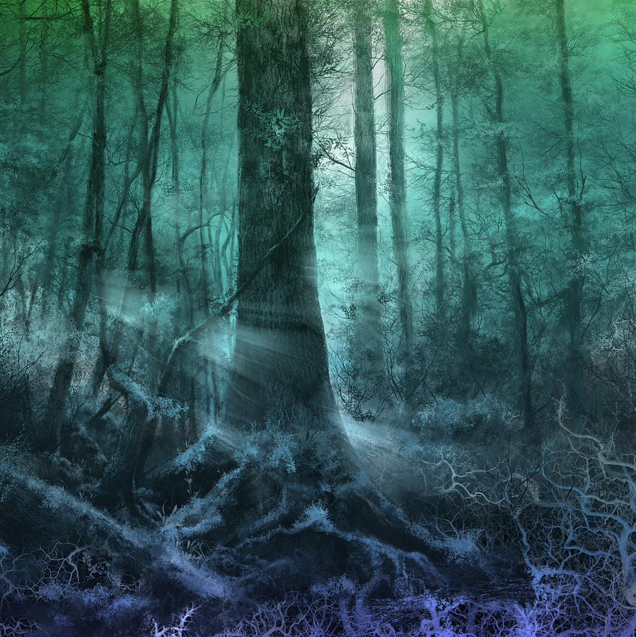 Fantasy Forest 3 Digital Art by Bekim M