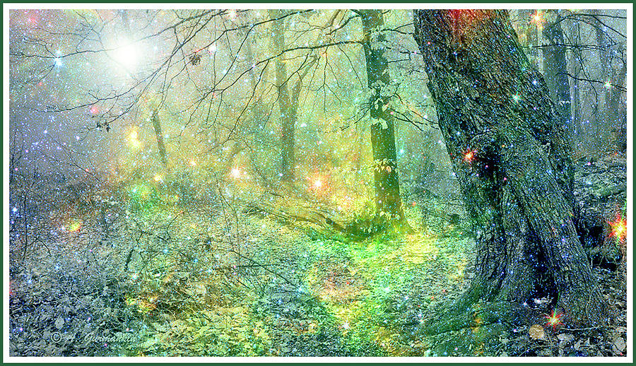 Fantasy Forest At Night Digital Art by A Macarthur Gurmankin