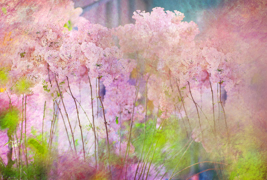 Impressionism Photograph - Fantasy Garden of Spring by Jenny Rainbow