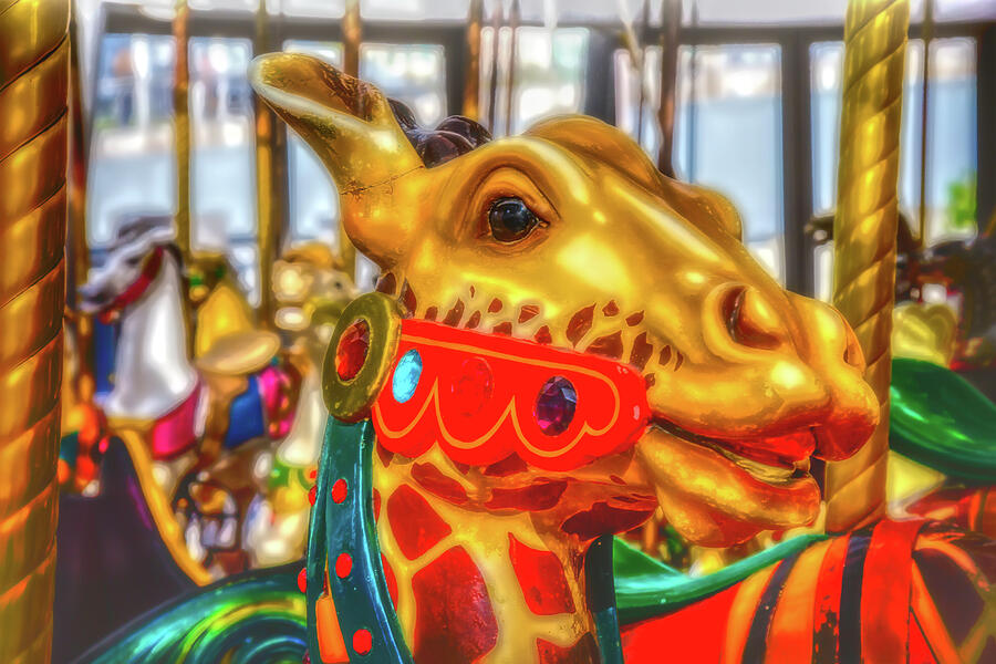 Fantasy Giraffe Carrousel Ride Photograph by Garry Gay