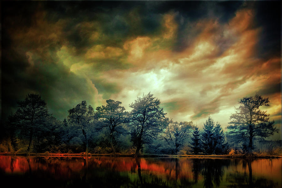 Fantasy Landscape 3 Digital Art by Lilia S
