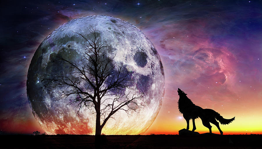 Fantasy Landscape - Howling Wolf And Bare Tree Silhouettes ...