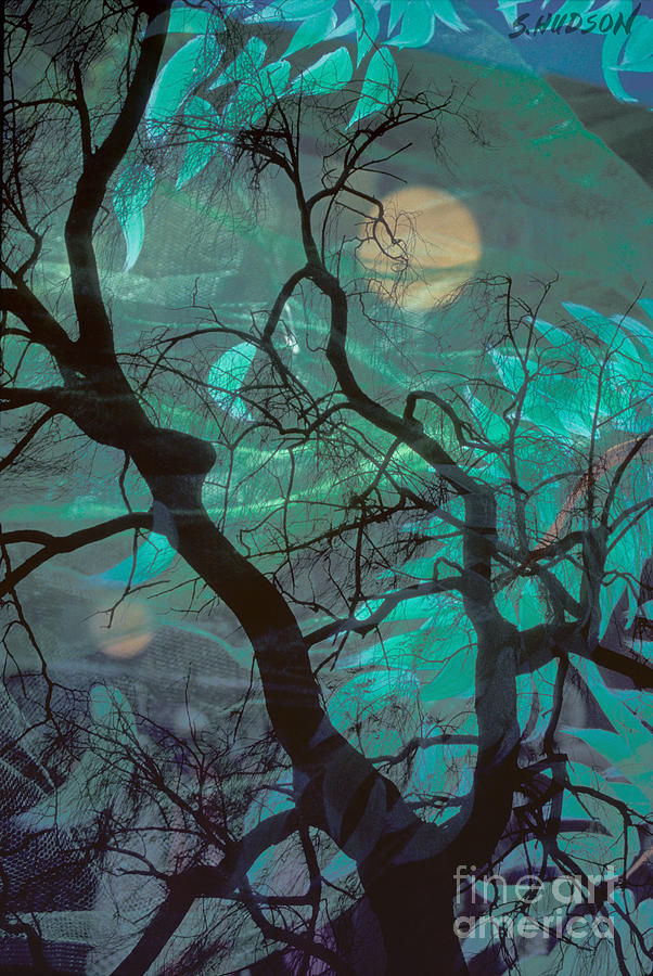 fantasy landscape art prints - Yellow Moons Photograph by Sharon Hudson