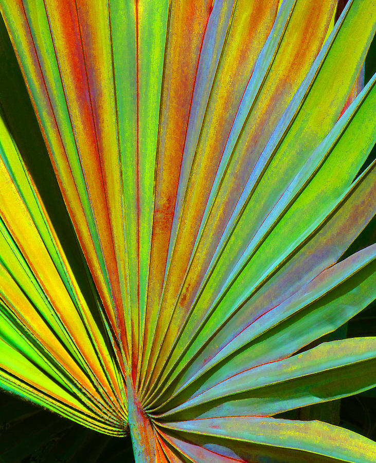 Fantasy Palm Leaf Abstract 2 Photograph by Margaret Saheed