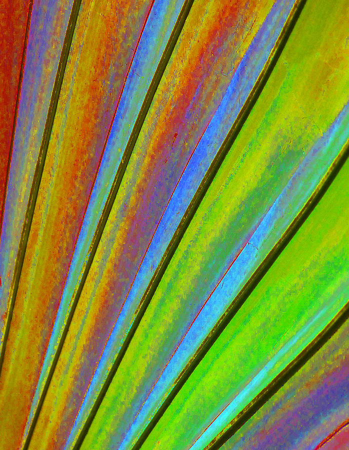 Fantasy Palm Leaf Abstract 3 Photograph by Margaret Saheed