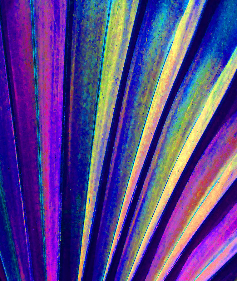 Fantasy Palm Leaf Abstract 4 Photograph by Margaret Saheed