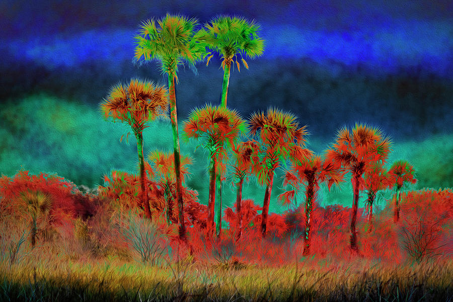 Fantasy Palms Photograph by Lisa Malecki
