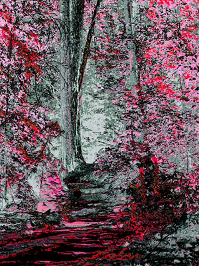 Tree Pyrography - Fantasy Path by Joe Hoover