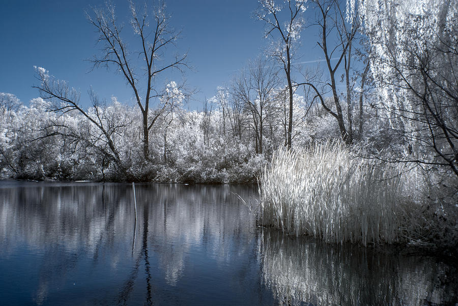 Fantasy Pond Photograph by Guy Whiteley