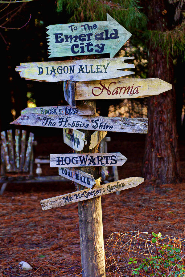 Fantasy signs Photograph by Garry Gay