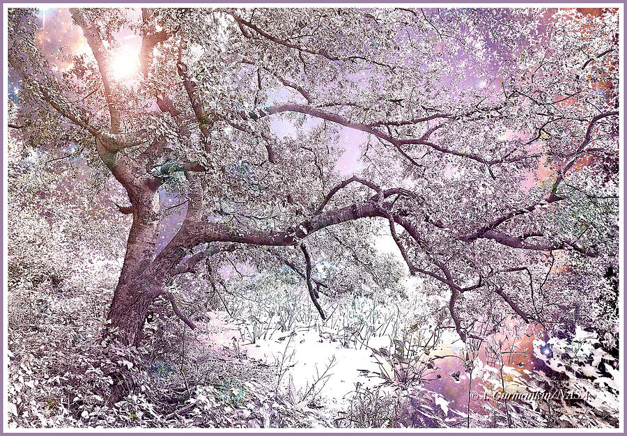 Fantasy Starry Night, Tree by an Estuary, Heinz Nature Preserve, Digital Art by A Macarthur Gurmankin
