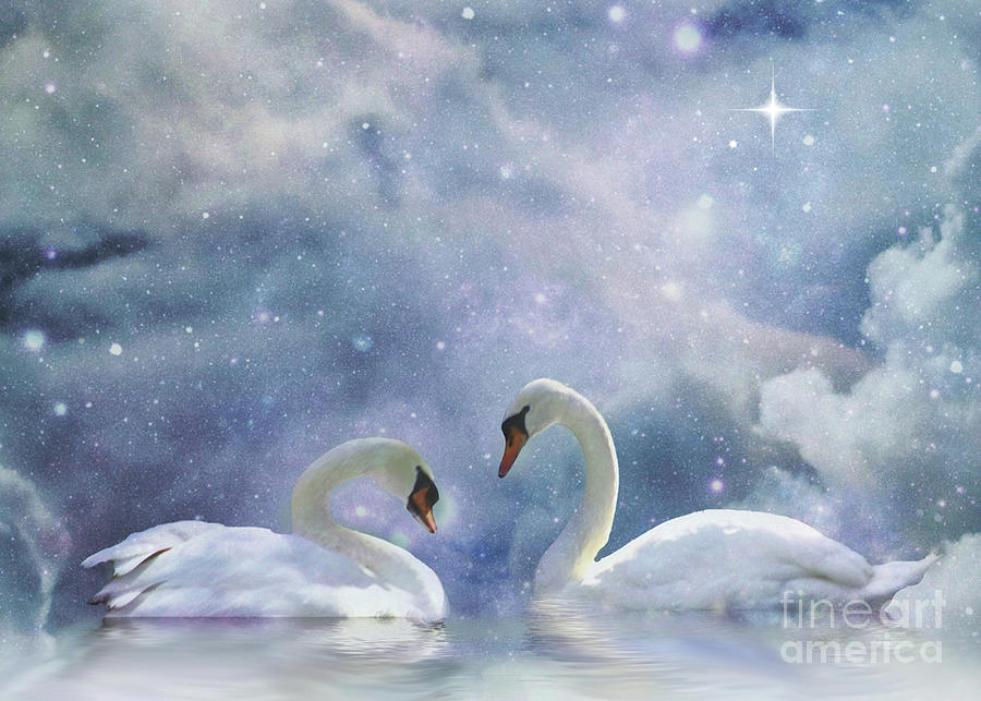 Fantasy Swan and Sky Photograph by Stephanie Laird