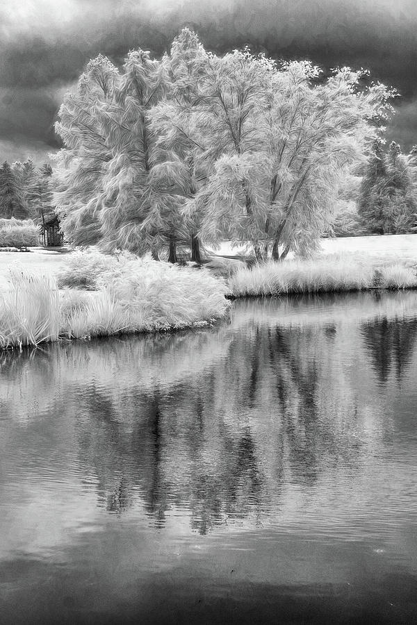 Fantasy Tree Reflection Photograph by Jim Simpson - Fine Art America
